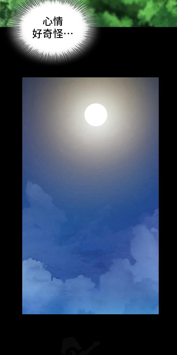 忠仆石头 第23章：心情奇怪 第12页