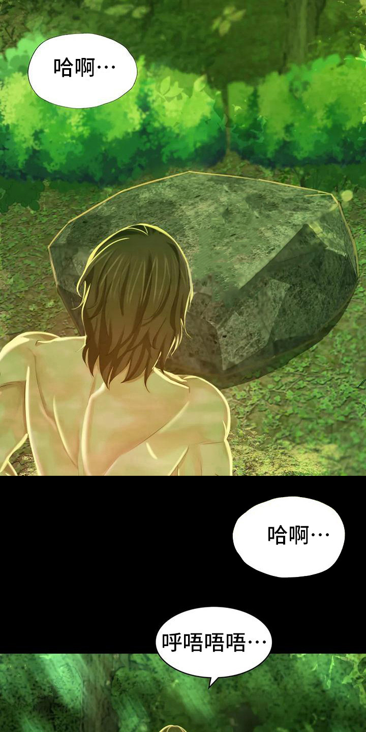 忠仆石头 第23章：心情奇怪 第6页