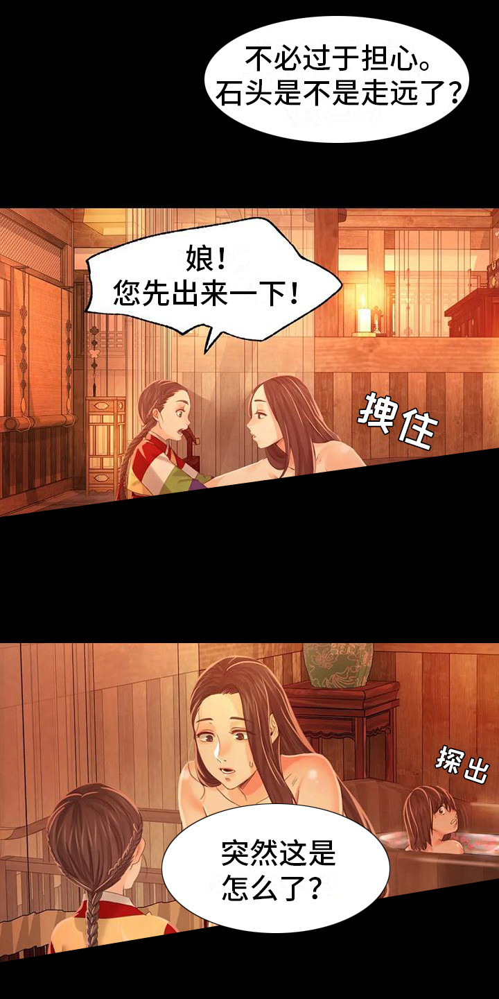 忠仆石头 第15章：灵机一动 第13页
