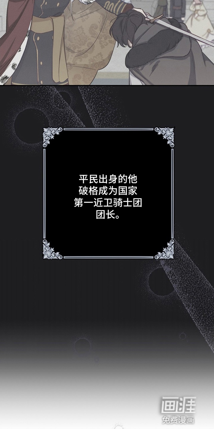 爱上骑士团团长 第1章：偶像 第15页