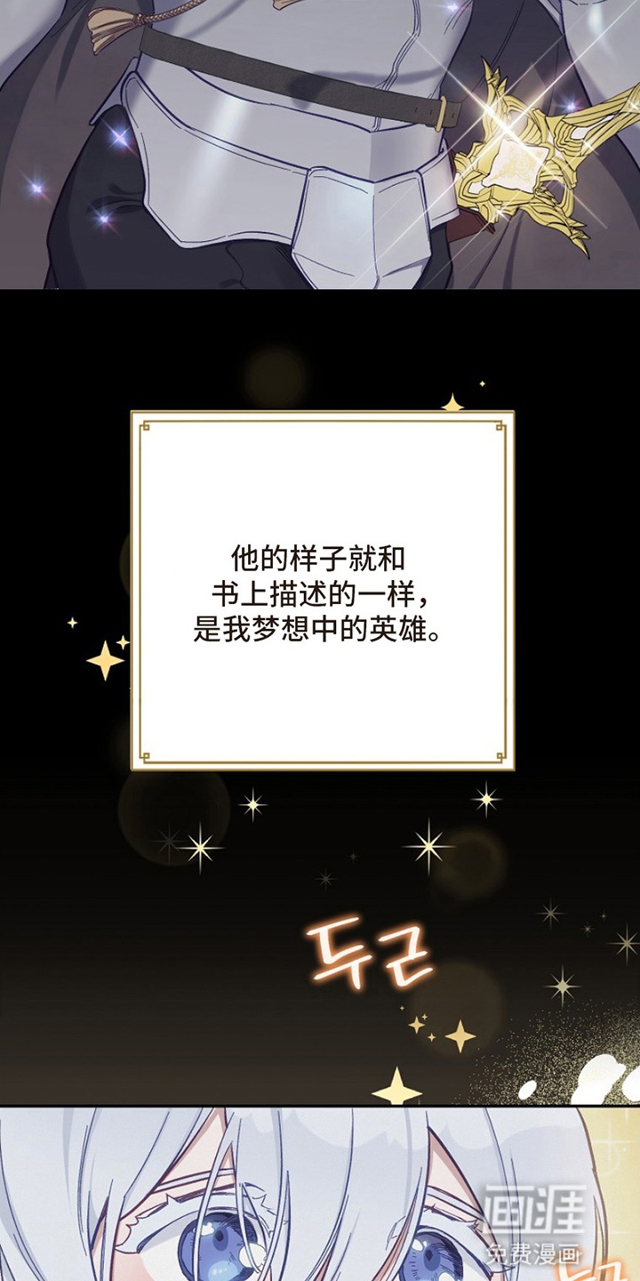 爱上骑士团团长 第1章：偶像 第29页
