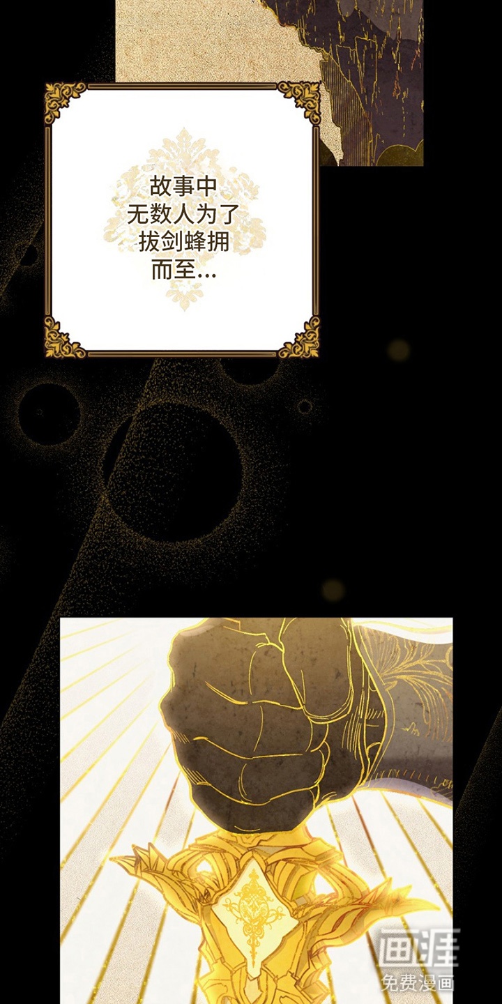 爱上骑士团团长 第1章：偶像 第6页