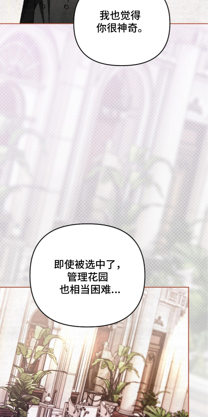 画界桃源 第28话 第24页