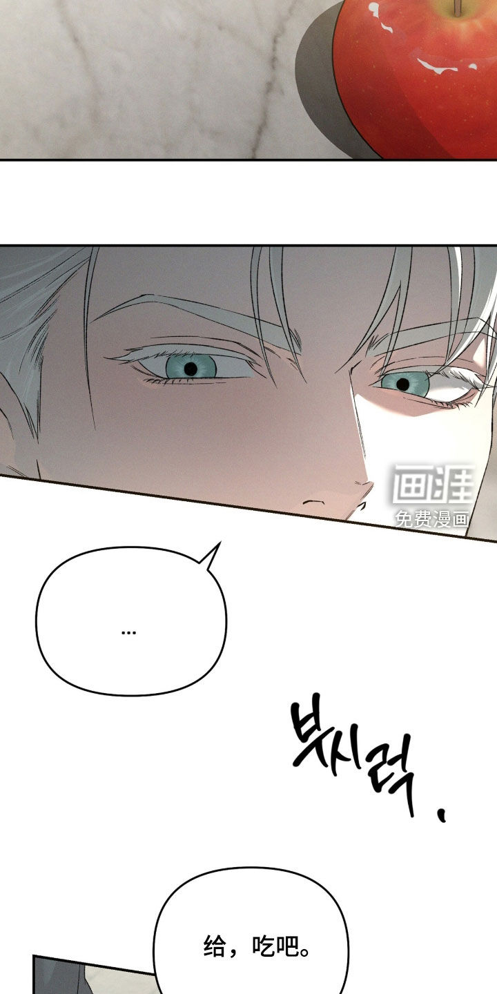 代号阿纳斯塔西娅/凶险任务 第133话 第5页