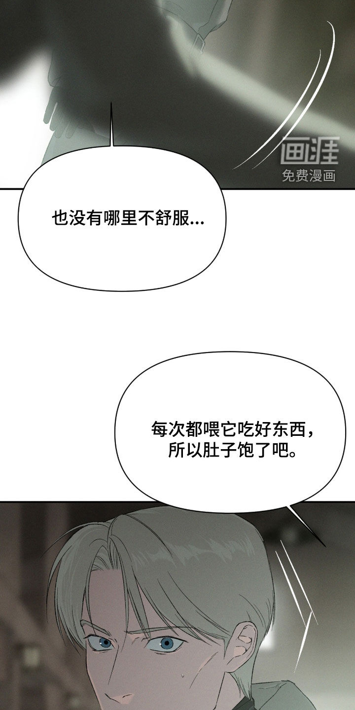 代号阿纳斯塔西娅/凶险任务 第125话 第7页