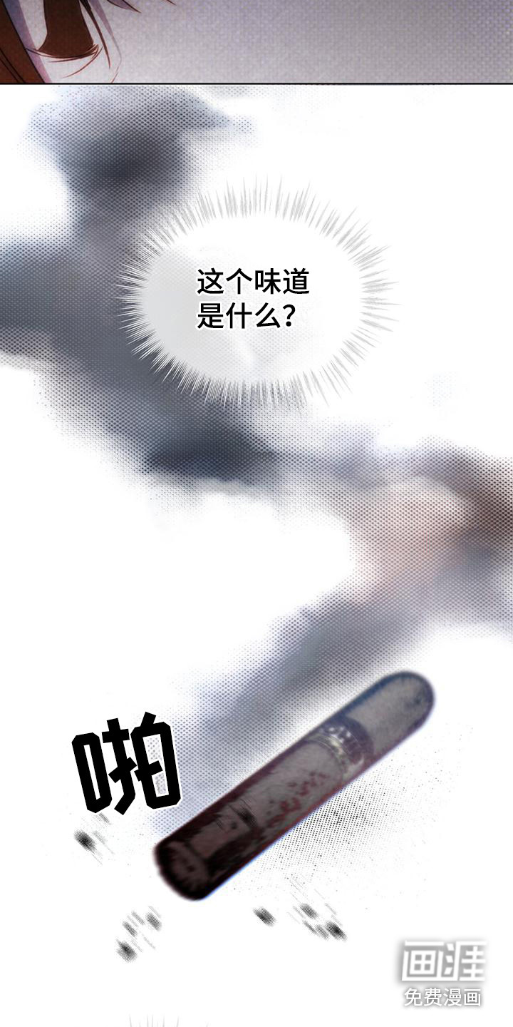 代号阿纳斯塔西娅/凶险任务 第17话 第19页