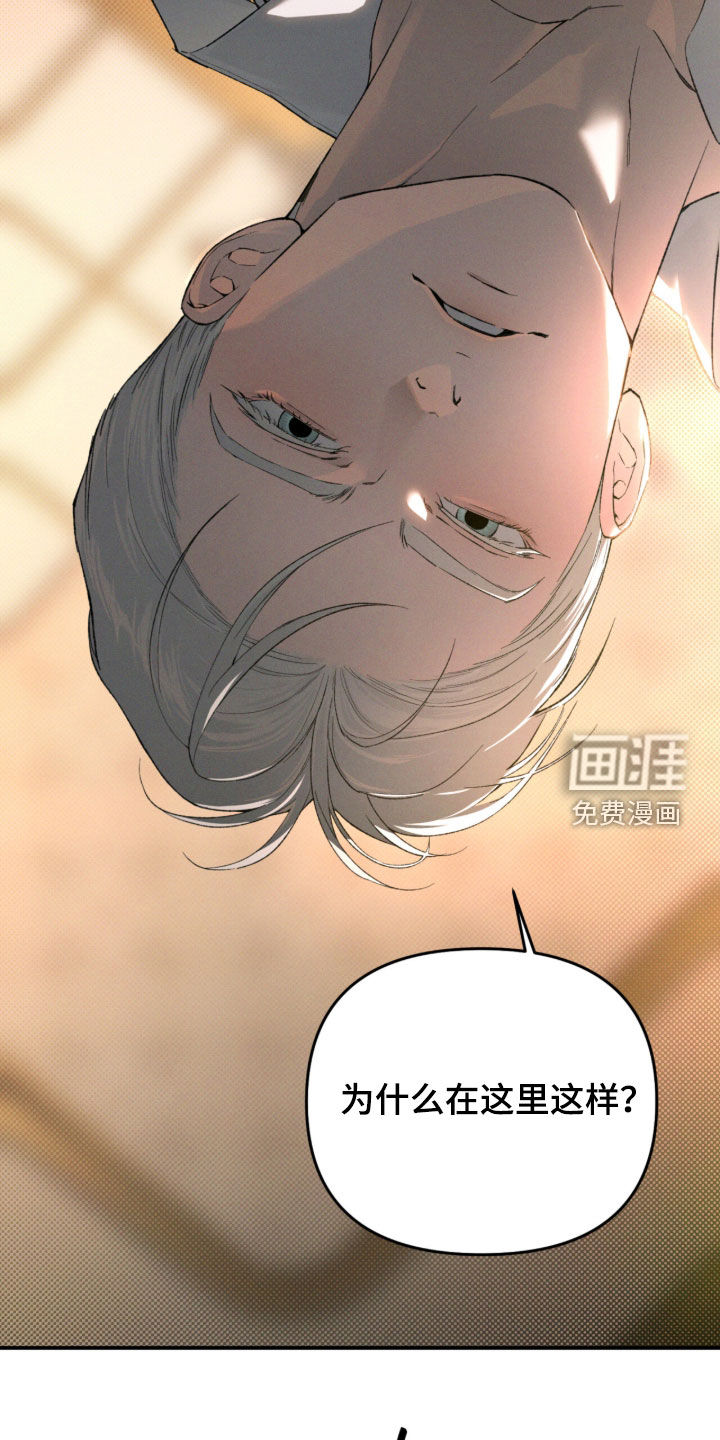 代号阿纳斯塔西娅/凶险任务 第134话 第19页
