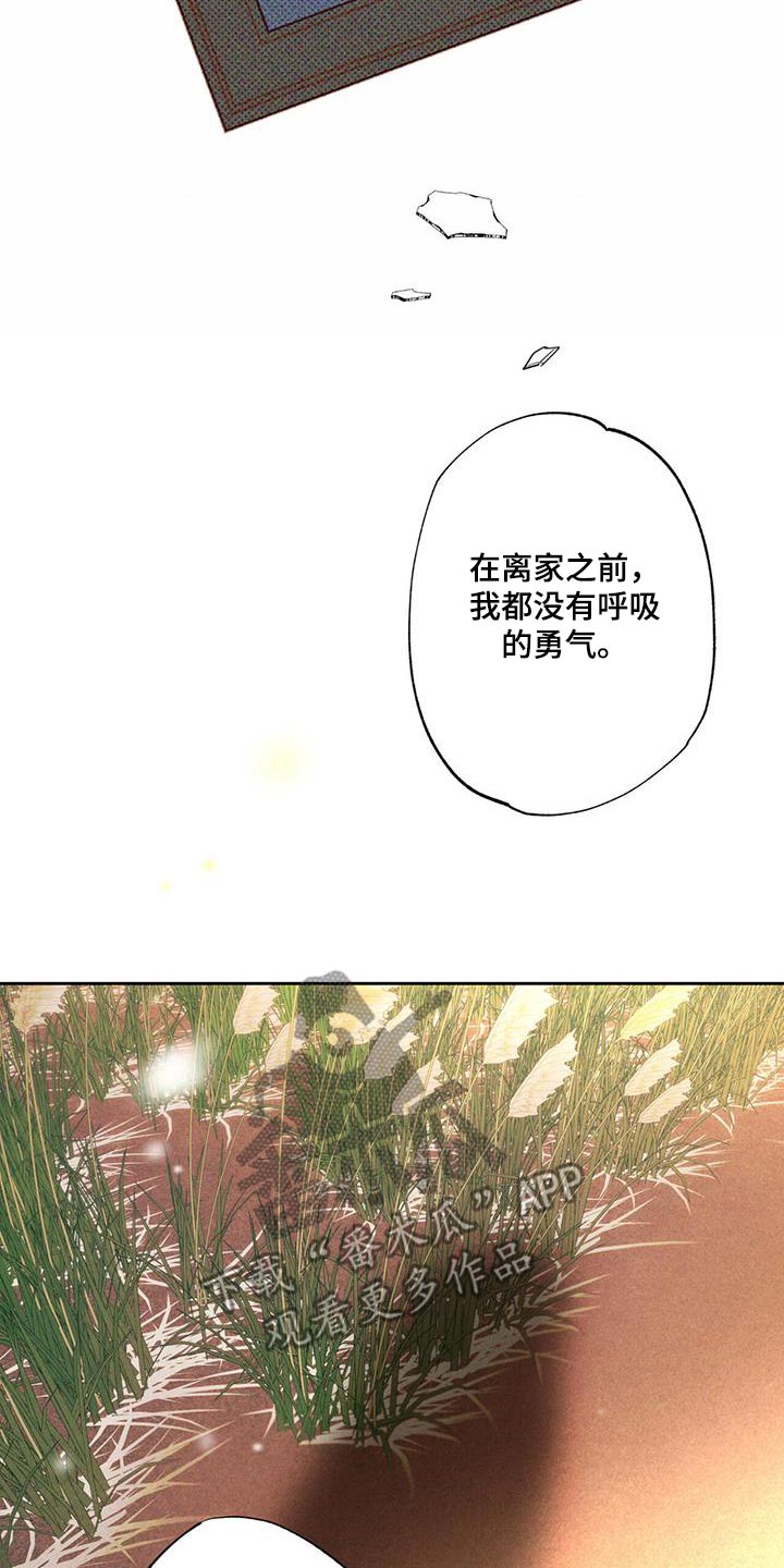 披萨小哥与黄金宫 第97话 第5页